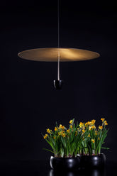 Skyfall | Suspension Lamp |