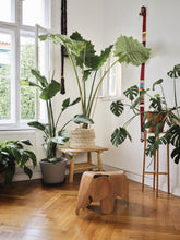 Eames Elephant (Plywood) |