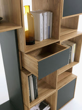 Freedom Bookshelf |