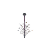 Birds, Birds, Birds Hanging Lamp |