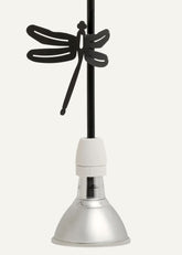 Flora e Fauna | Libellula |