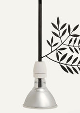 Flora e Fauna | Ulivo |