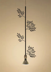 Flora e Fauna | Ulivo |