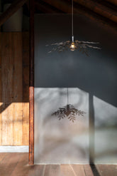 Gloria Sospensione |