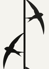 Flora e Fauna | Rondini |