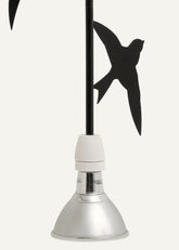 Flora e Fauna | Rondini |