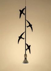 Flora e Fauna | Rondini |