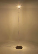 Belle Soirée Terra |