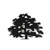 Bosco | Cedrus Libani |