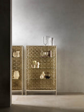 Echo Display Cabinet |