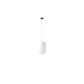 Arya Pendant Lighting |