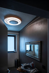 Bahia Wall/Ceiling Light |