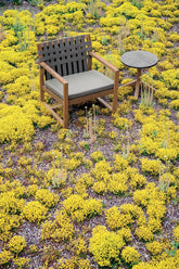 Network Lounge Chair |