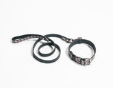 Leather leash |