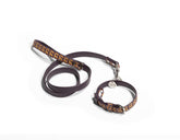 Leather leash |