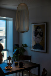 Spokes 1 Pendant Light |