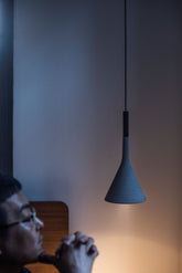 Aplomb Mini Pendant Light |