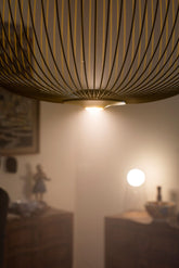 Spokes 2 Pendant Light |