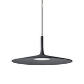 Aplomb Large Pendant Light |