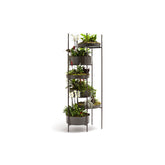 10th Vertical Garden | High - Massimo Castagna | 