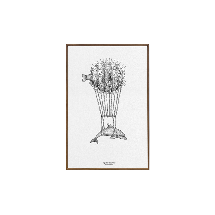 Montgolfier Dolphin Art Print