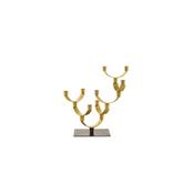 Corallo Candleholder - Zanetto | 