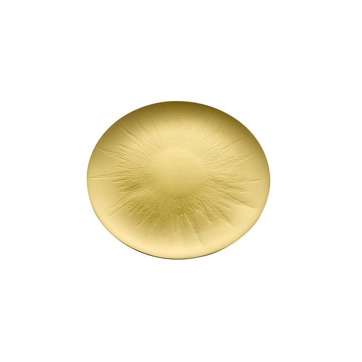 Sole Gold Dinner Plate