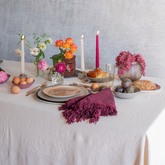 Long Fringe Napkin Set of 4 | 