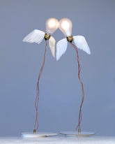 Lucellino Table Lamp | 