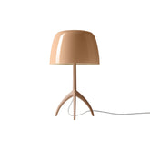 Lumiere Nuances Table Lamp - Rodolfo Dordoni | 