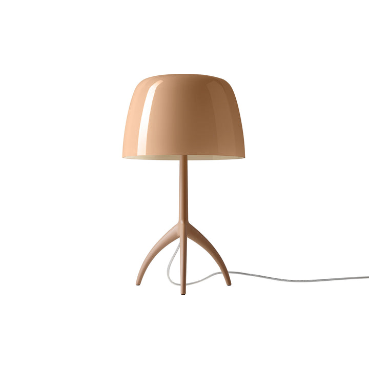 Lumiere Nuances Table Lamp