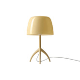 Lumiere Nuances Table Lamp | 