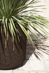 Cortica Planter | 
